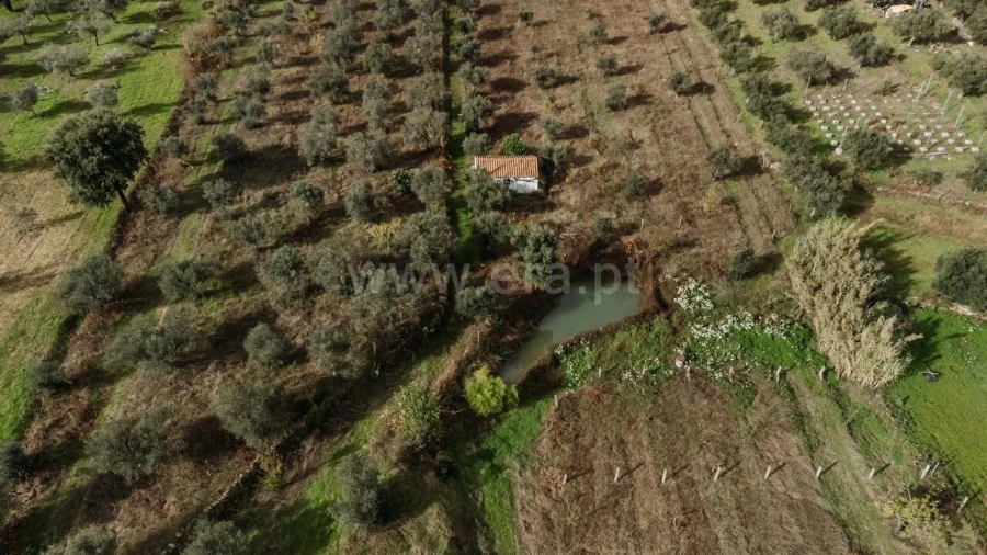 Terreno para Venda em Telhado Foto 2