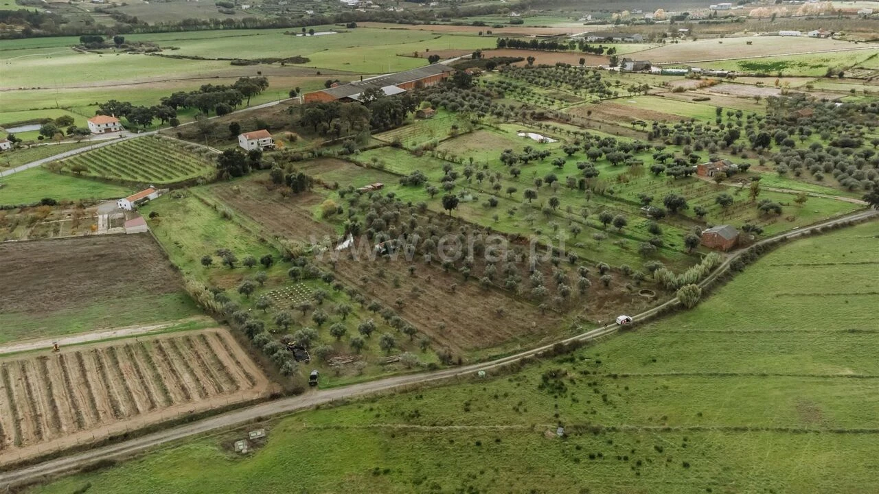 Terreno para Venda em Telhado Foto 3