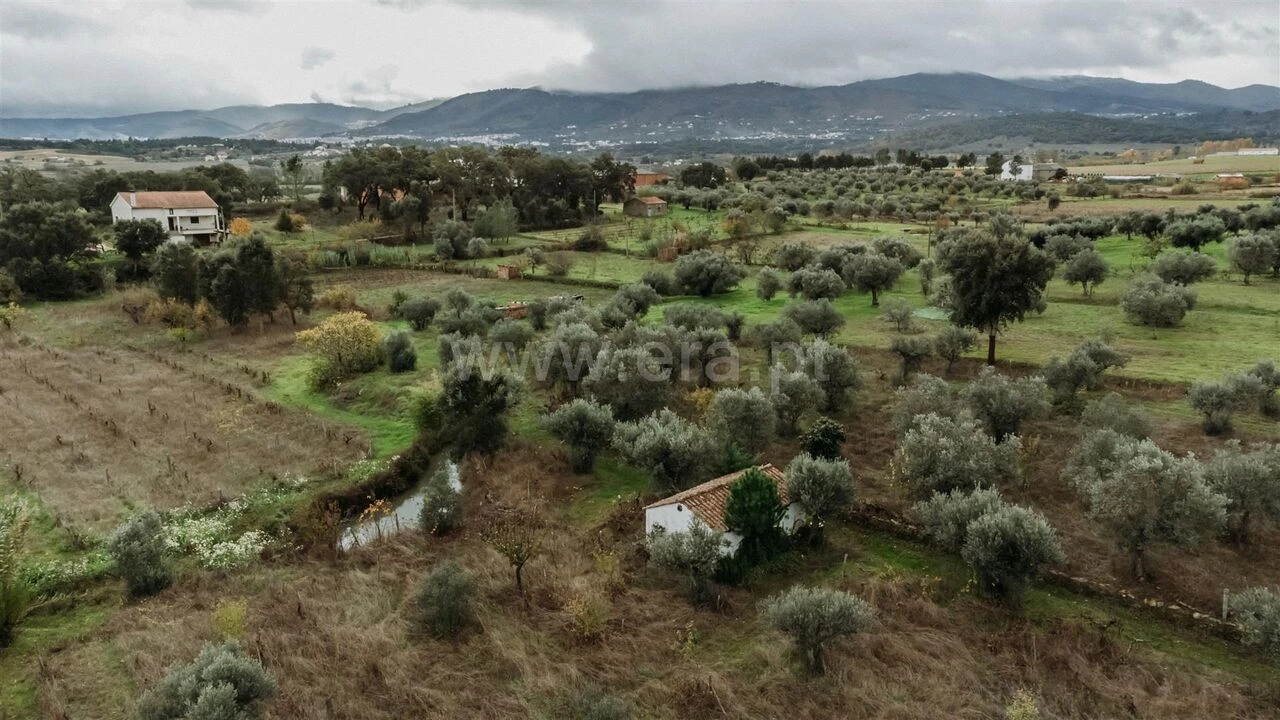 Terreno para Venda em Telhado Foto 10