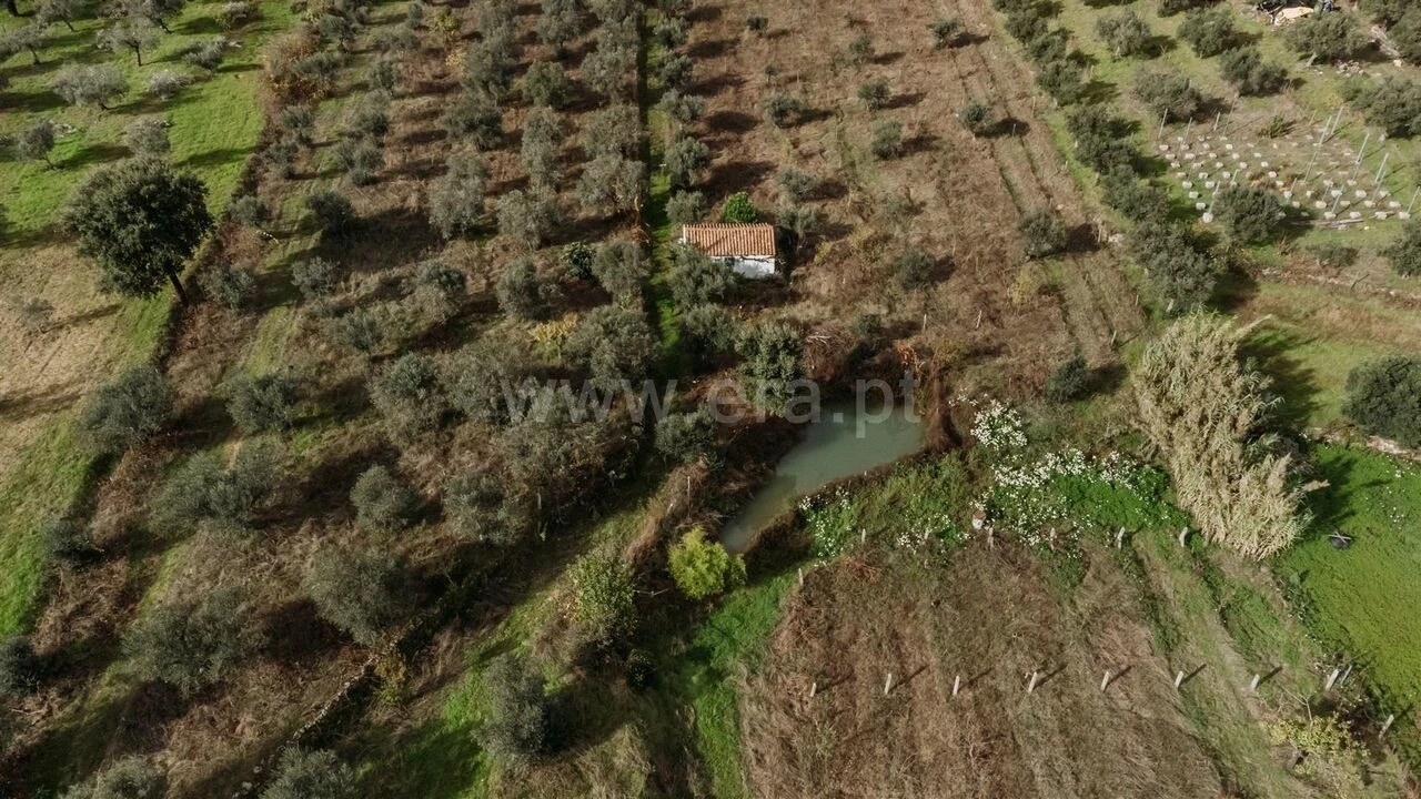 Terreno para Venda em Telhado Foto 2