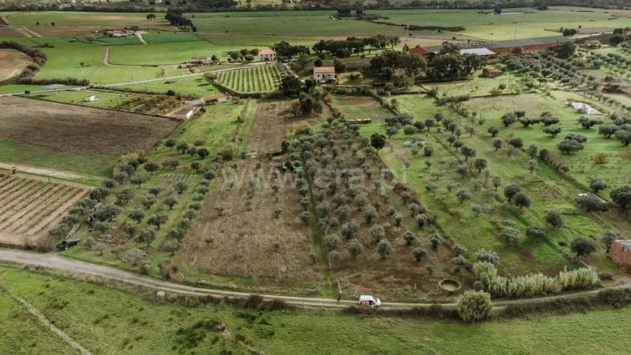 Terreno para Venda em Telhado