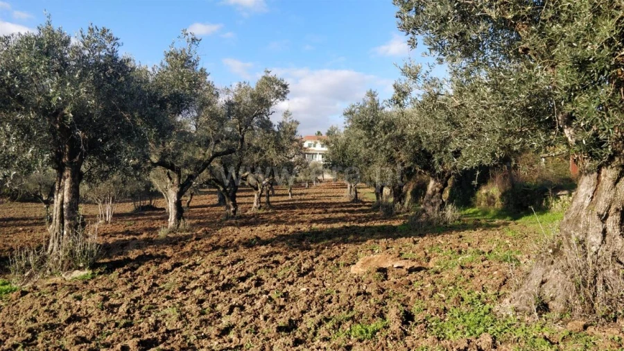 Terreno para Venda em Alcaria Foto 1
