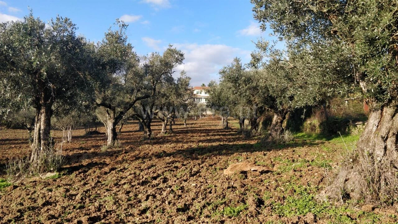 Terreno para Venda em Alcaria Foto 1