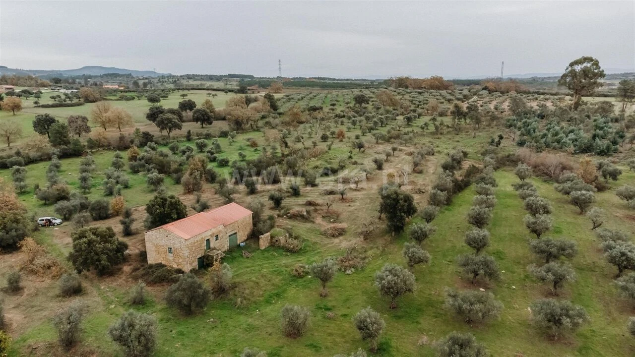 Quinta T1 para Venda em Alpedrinha Foto 6