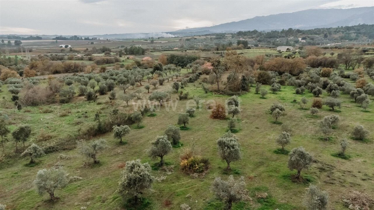Quinta T1 para Venda em Alpedrinha Foto 2