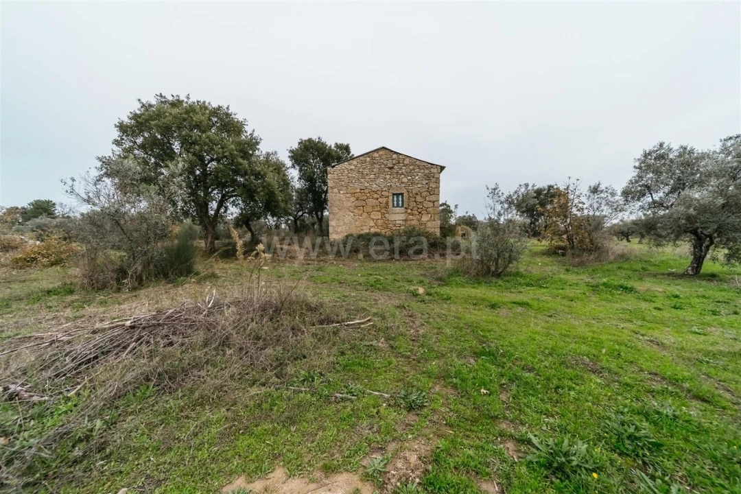 Quinta T1 para Venda em Alpedrinha Foto 19