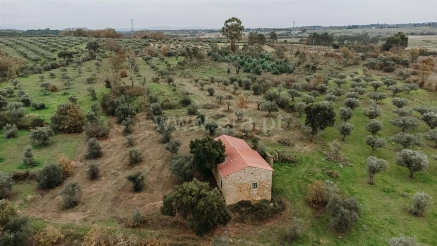 Quinta T1 para Venda em Alpedrinha Foto 5