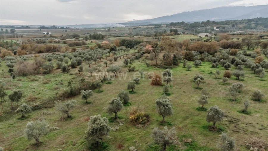 Quinta T1 para Venda em Alpedrinha Foto 2