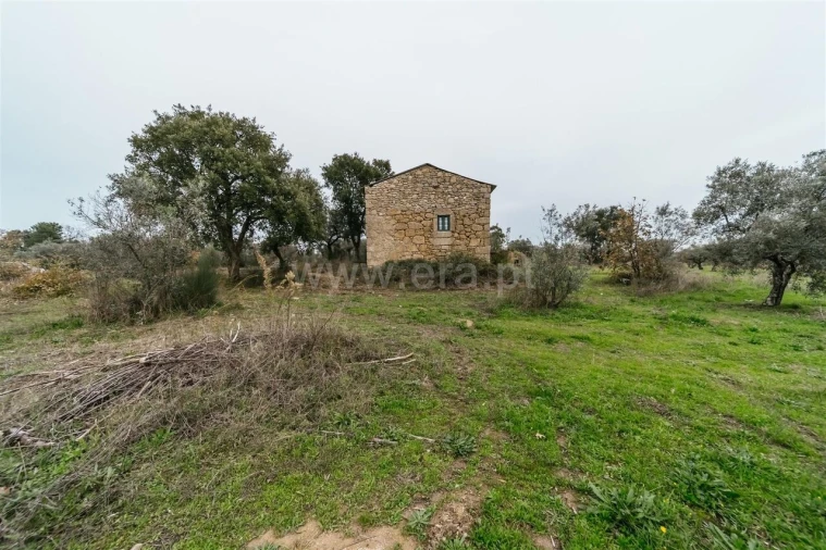 Quinta T1 para Venda em Alpedrinha Foto 19