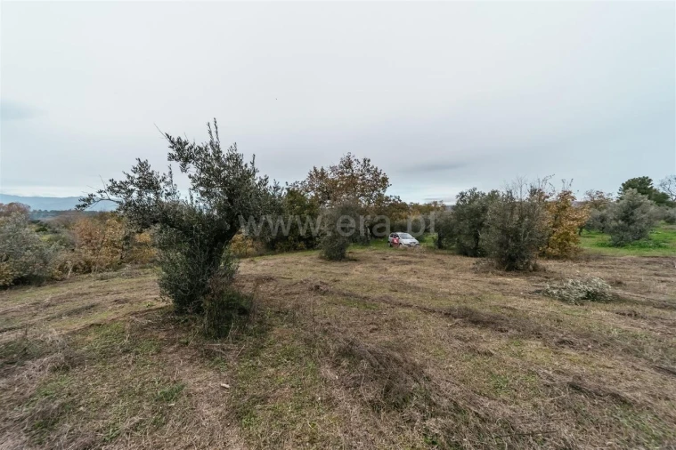 Quinta T1 para Venda em Alpedrinha Foto 3