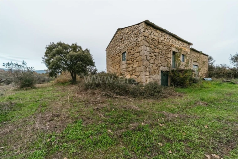 Quinta T1 para Venda em Alpedrinha Foto 17