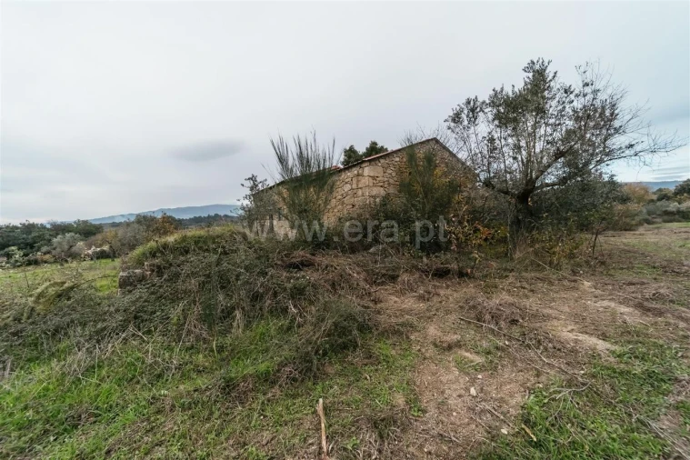 Quinta T1 para Venda em Alpedrinha Foto 13