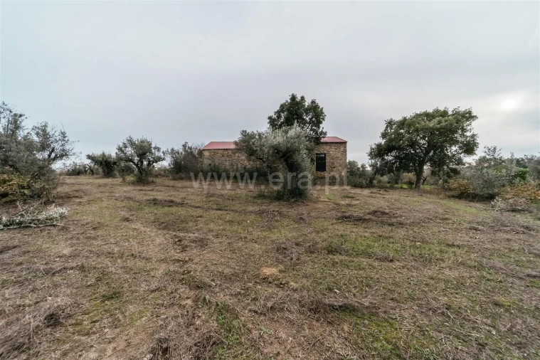 Quinta T1 para Venda em Alpedrinha Foto 8