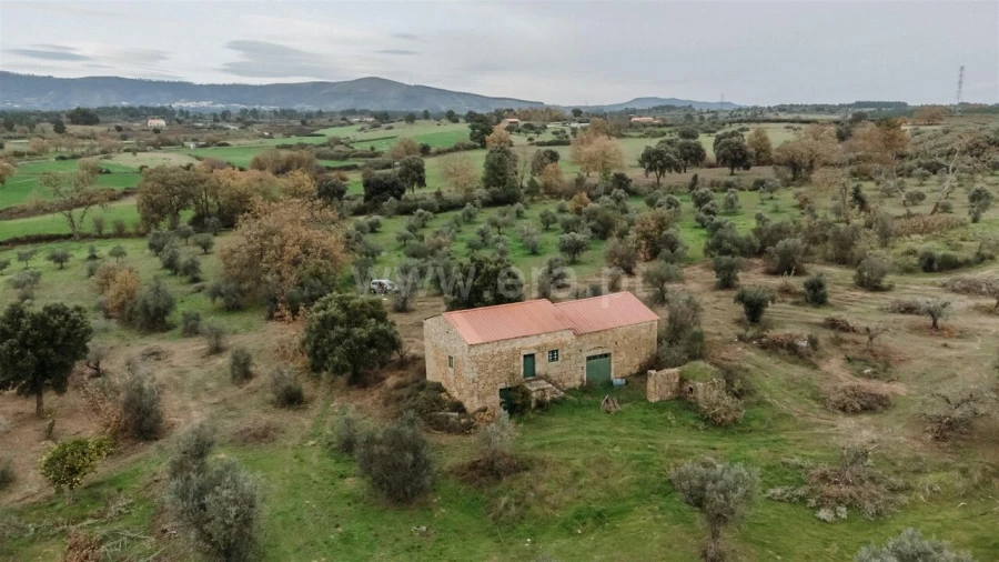 Quinta T1 para Venda em Alpedrinha Foto 7