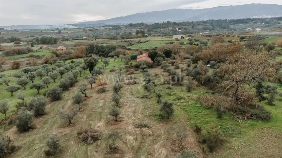 Quinta T1 para Venda em Alpedrinha Foto 1