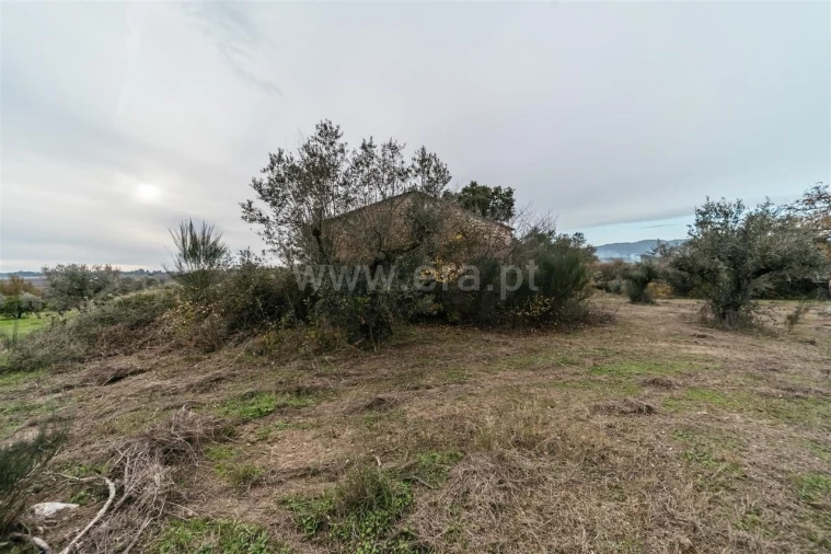 Quinta T1 para Venda em Alpedrinha Foto 4