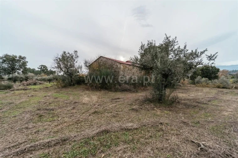 Quinta T1 para Venda em Alpedrinha Foto 10