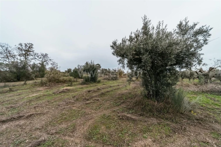 Quinta T1 para Venda em Alpedrinha Foto 12