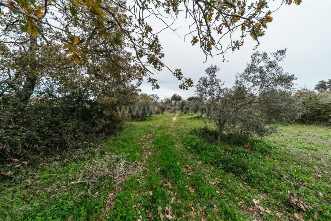 Quinta T1 para Venda em Alpedrinha Foto 20