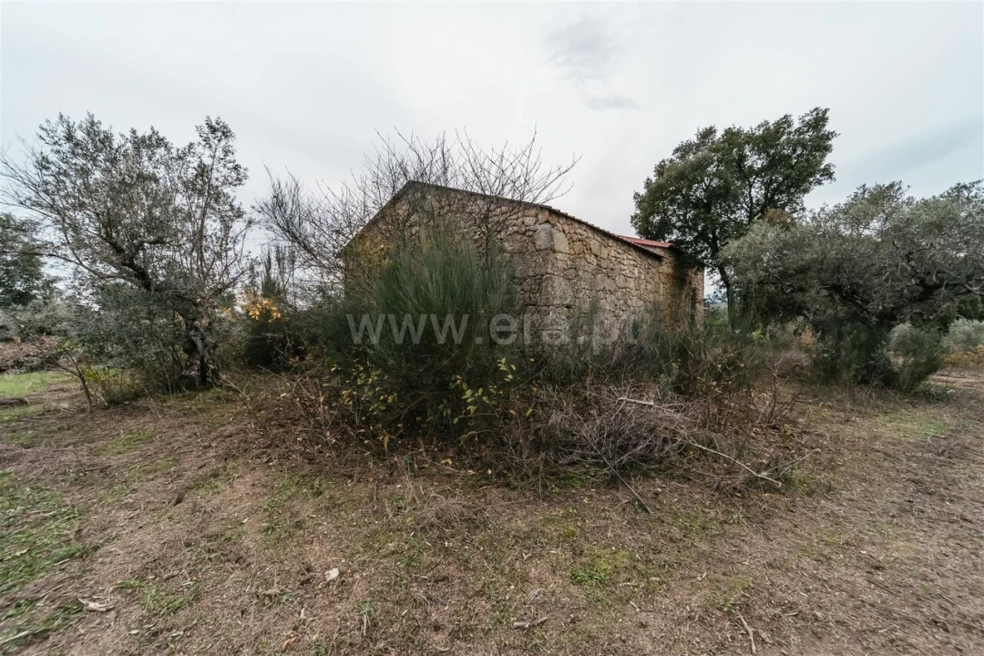 Quinta T1 para Venda em Alpedrinha Foto 11