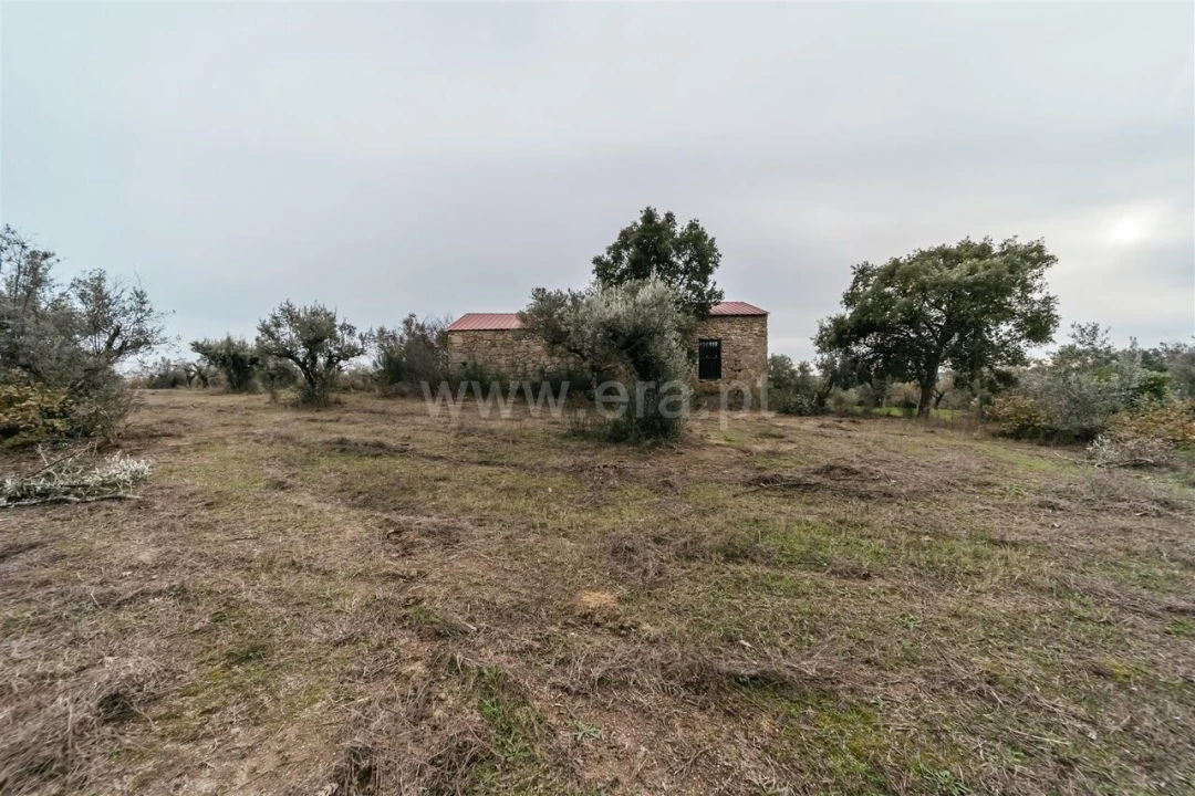 Quinta T1 para Venda em Alpedrinha Foto 8