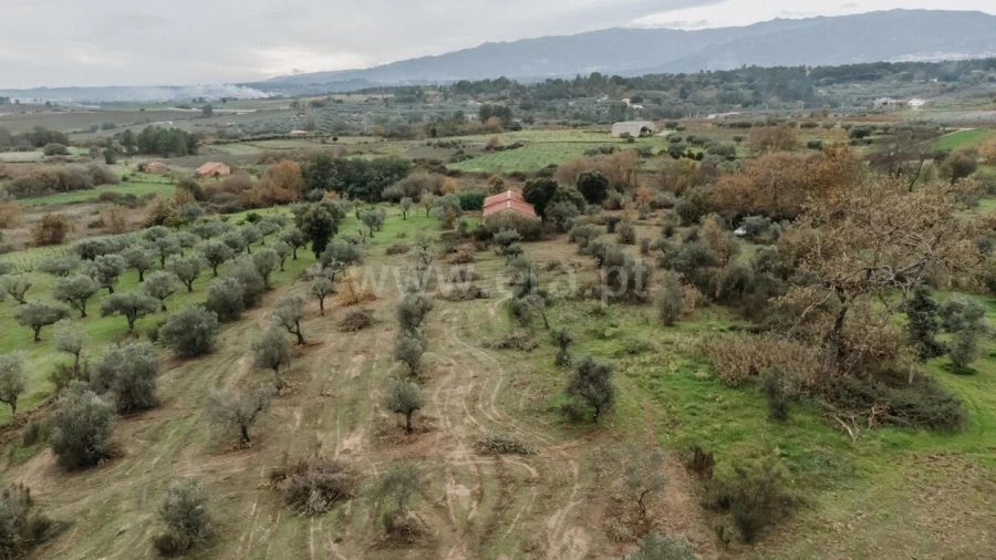 Quinta T1 para Venda em Alpedrinha