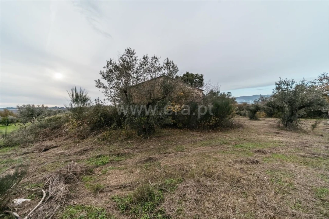 Quinta T1 para Venda em Alpedrinha Foto 4