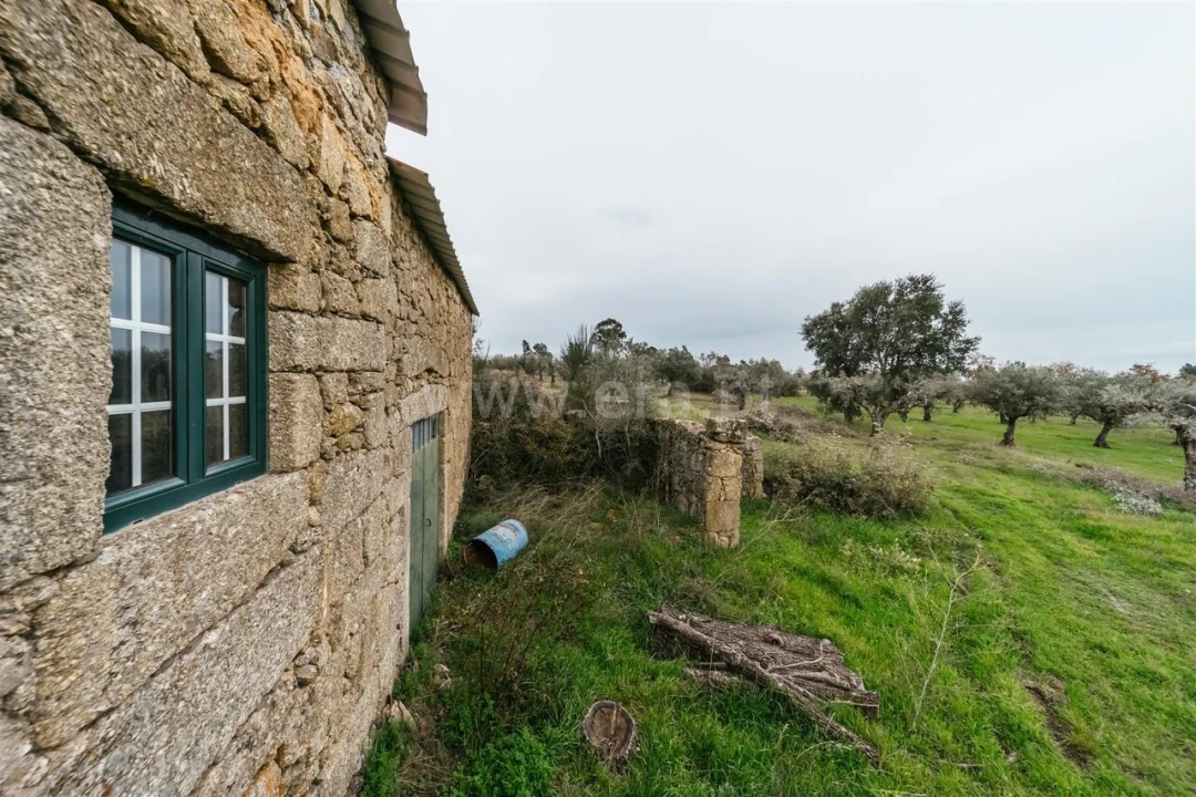 Quinta T1 para Venda em Alpedrinha Foto 18