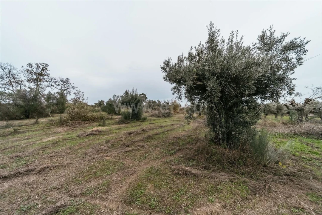 Quinta T1 para Venda em Alpedrinha Foto 12