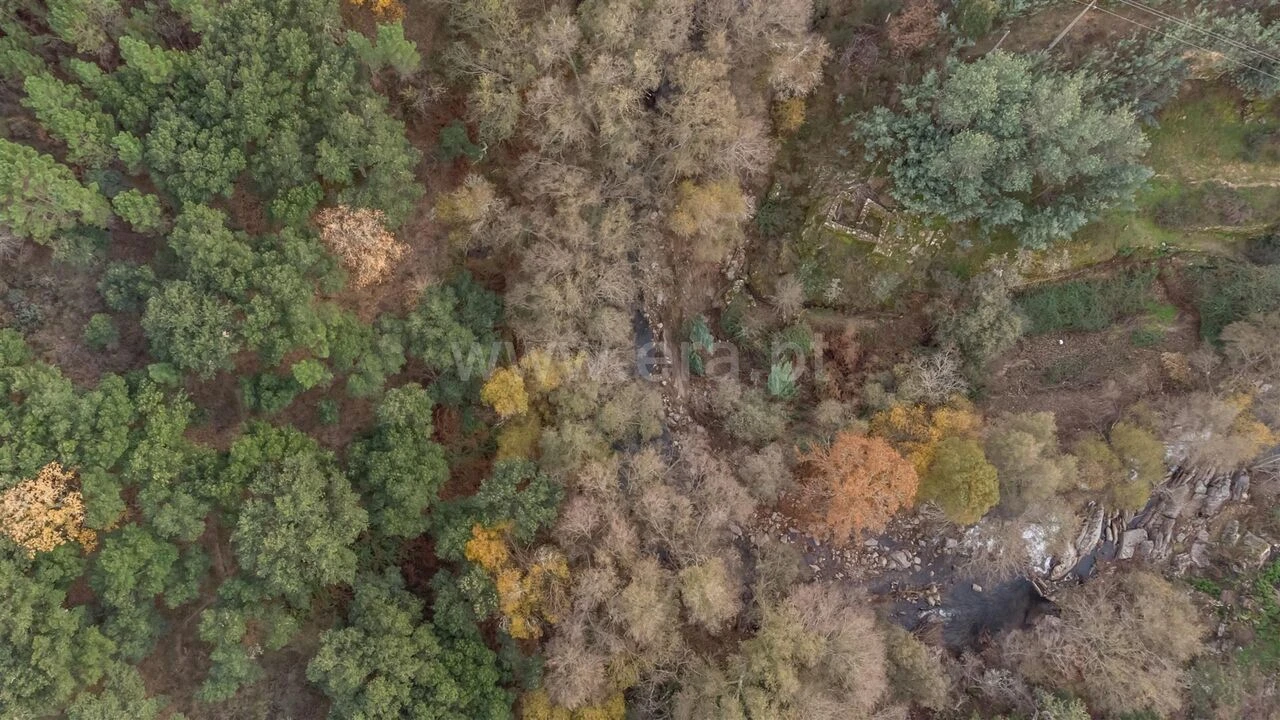 Quinta T4 para Venda em Lavacolhos Foto 11