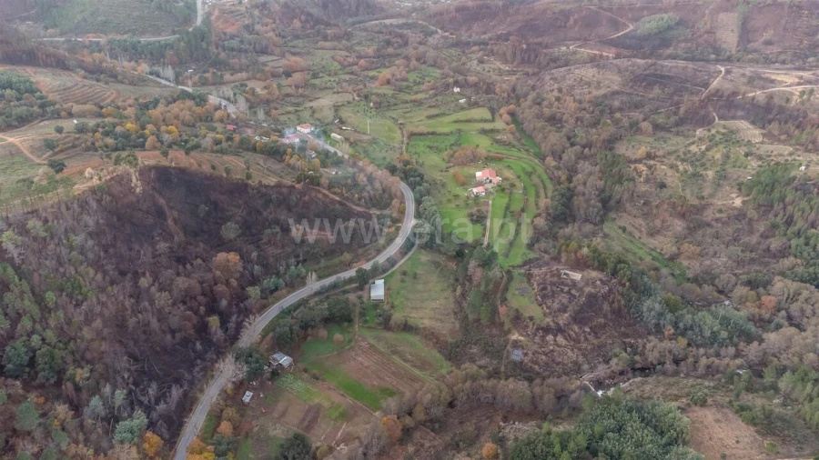Quinta T4 para Venda em Lavacolhos Foto 7