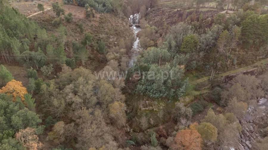 Quinta T4 para Venda em Lavacolhos Foto 9
