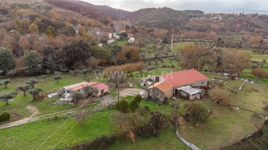 Quinta T4 para Venda em Lavacolhos Foto 1