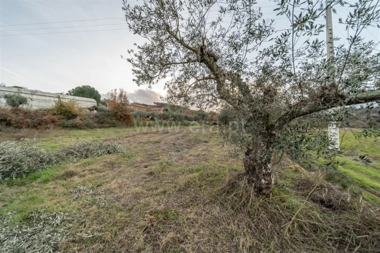 Quinta T4 para Venda em Lavacolhos Foto 15