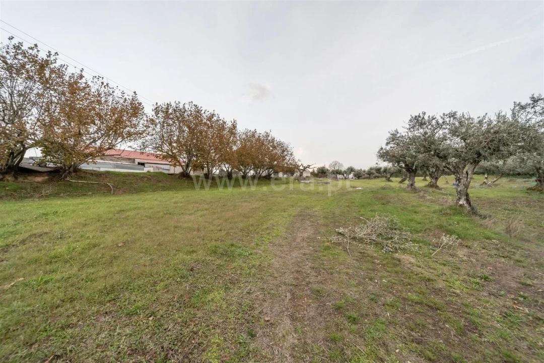 Quinta T4 para Venda em Lavacolhos Foto 19