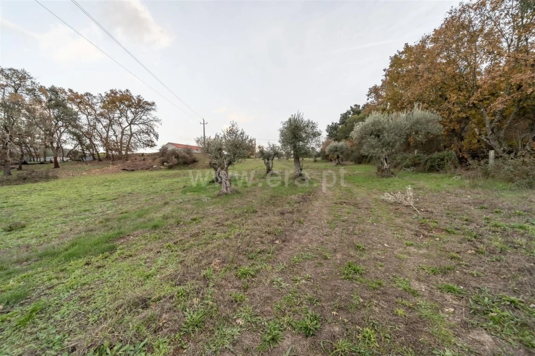 Quinta T4 para Venda em Lavacolhos Foto 17