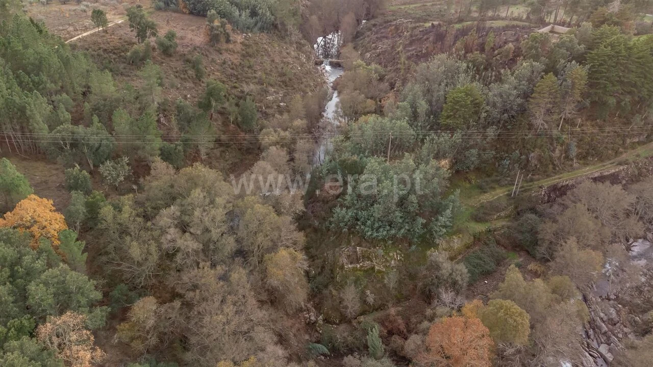Quinta T4 para Venda em Lavacolhos Foto 9
