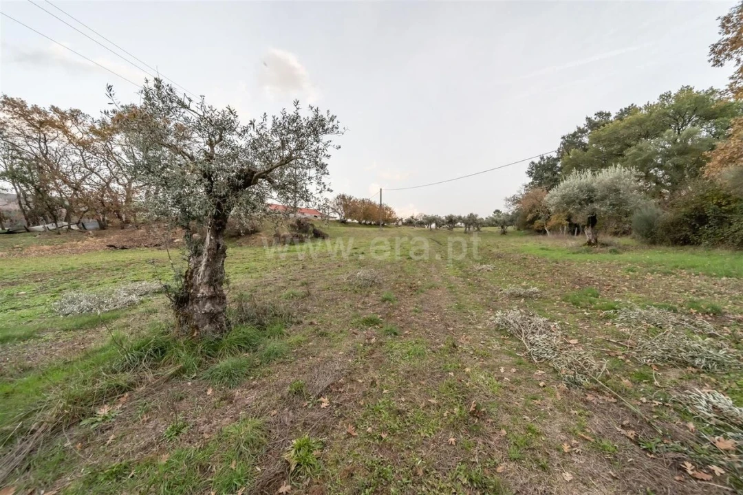 Quinta T4 para Venda em Lavacolhos Foto 18