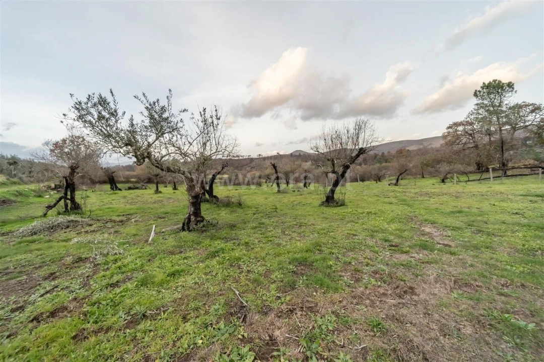 Quinta T4 para Venda em Lavacolhos Foto 16