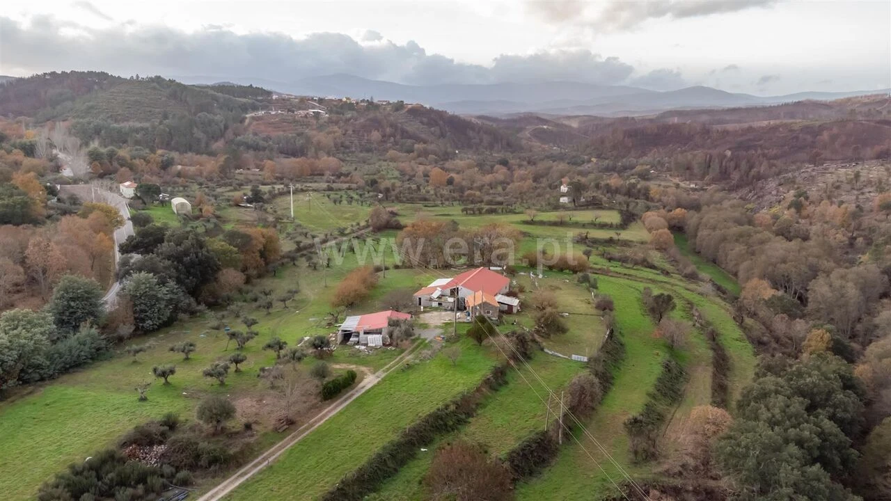 Quinta T4 para Venda em Lavacolhos Foto 3