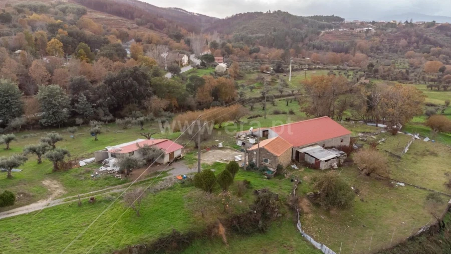 Quinta T4 para Venda em Lavacolhos