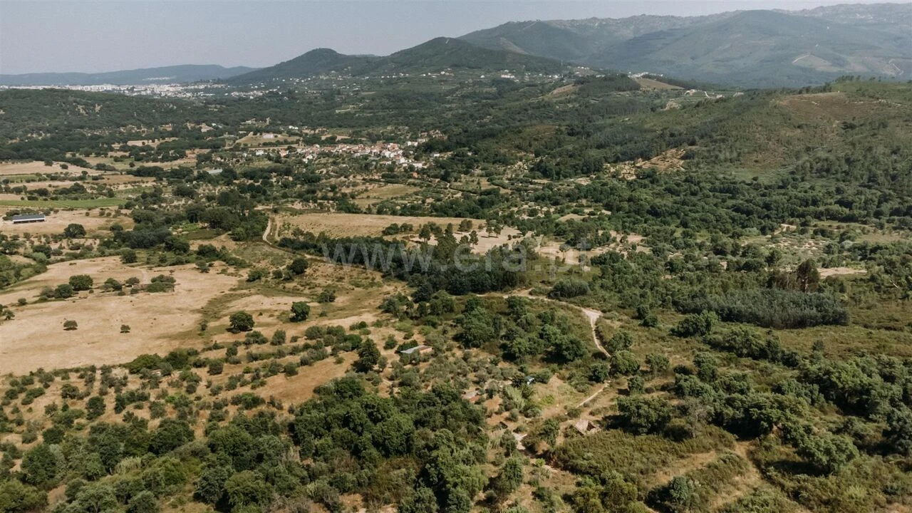 Quinta T1 para Venda em Telhado Foto 9