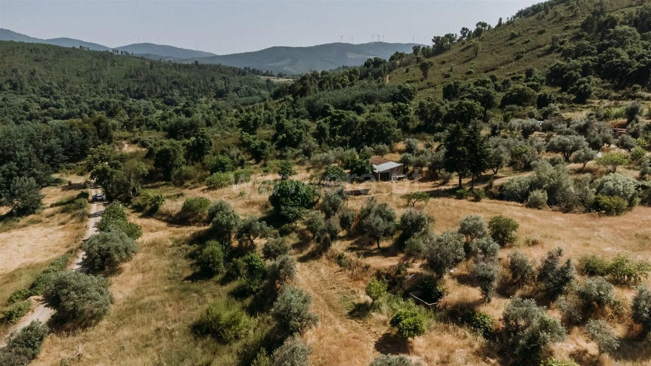 Quinta T1 para Venda em Telhado Foto 2