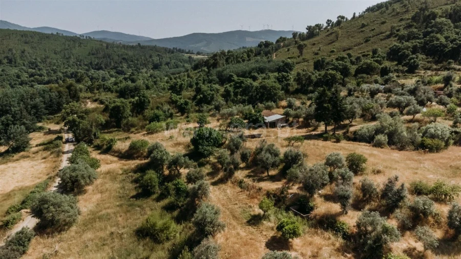 Quinta T1 para Venda em Telhado Foto 2