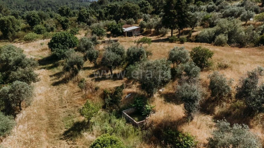 Quinta T1 para Venda em Telhado Foto 3