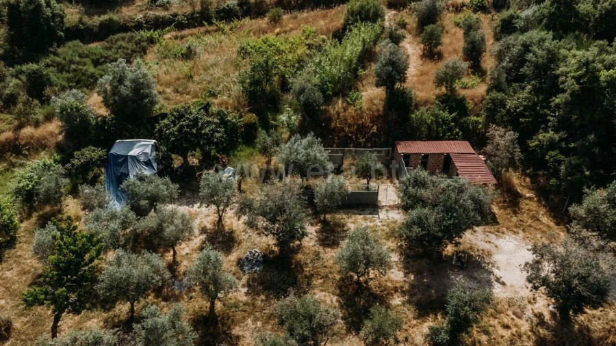 Quinta T1 para Venda em Telhado Foto 4