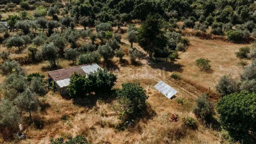 Quinta T1 para Venda em Telhado Foto 5