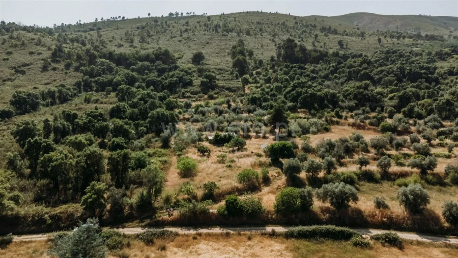 Quinta T1 para Venda em Telhado Foto 8