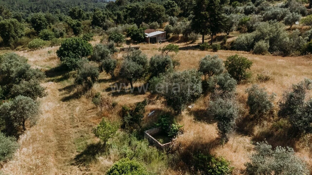 Quinta T1 para Venda em Telhado Foto 3