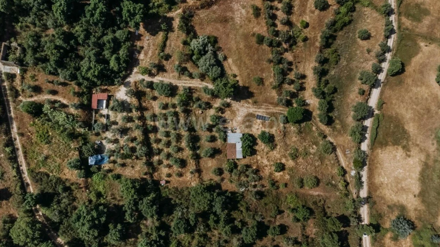 Quinta T1 para Venda em Telhado